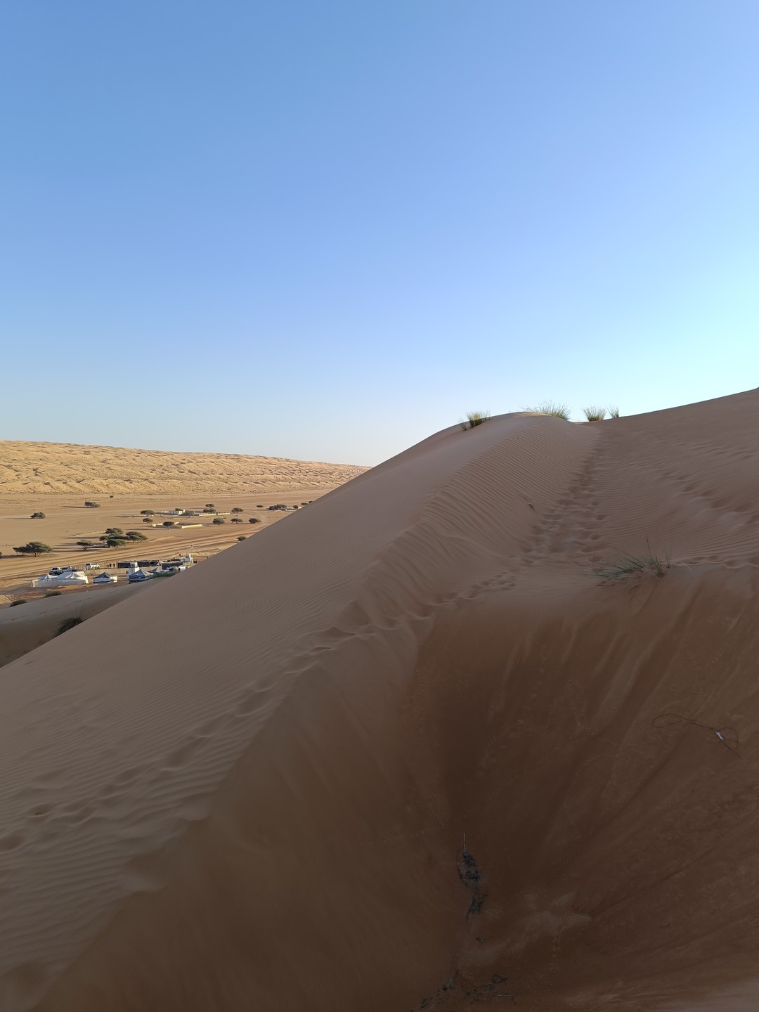 Пустыня Вахиба и оазис Вади Бани Халид (Татьяна)