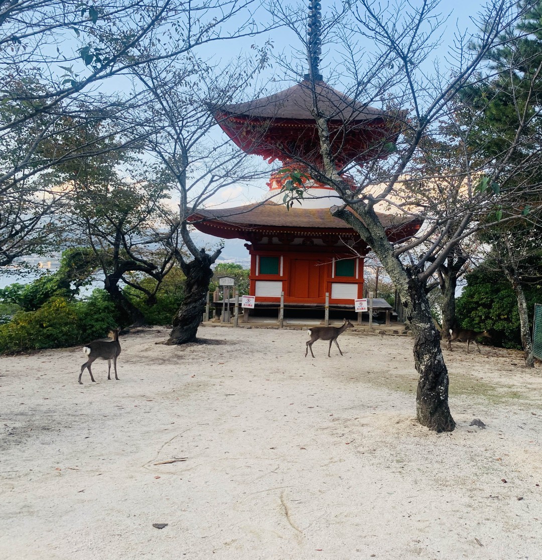 Это не экскурсия, это путешествие, которое останется с нами навсегда! По нашей просьбе, Иван смог скорректировать