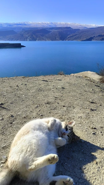 Лучшие виды на Сулакский каньон - из Махачкалы (Саша)