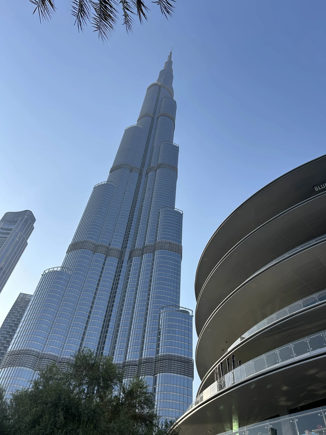 Максим провел экскурсию великолепно!