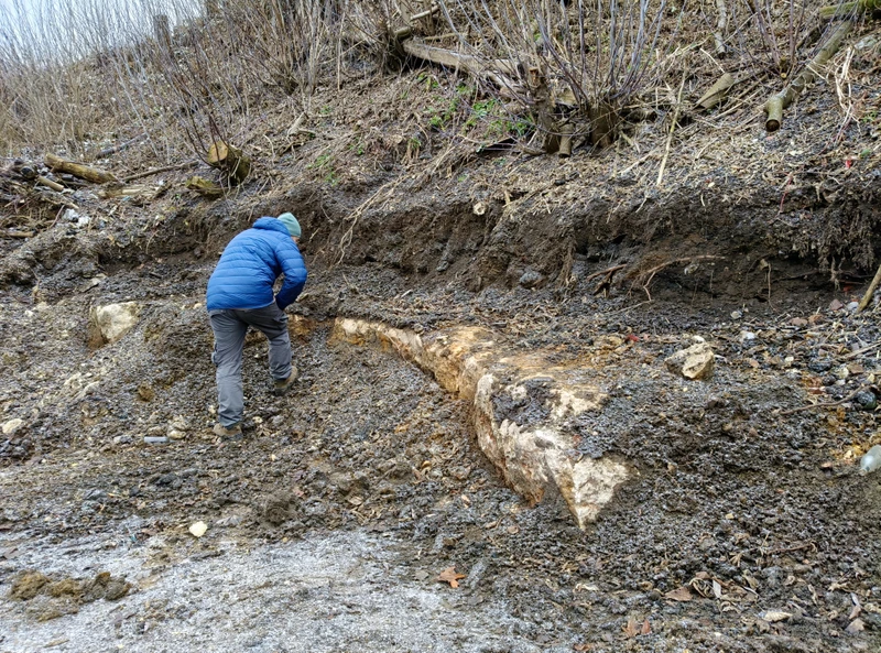 Верхнее Мячково. Белокаменное прошлое Москвы