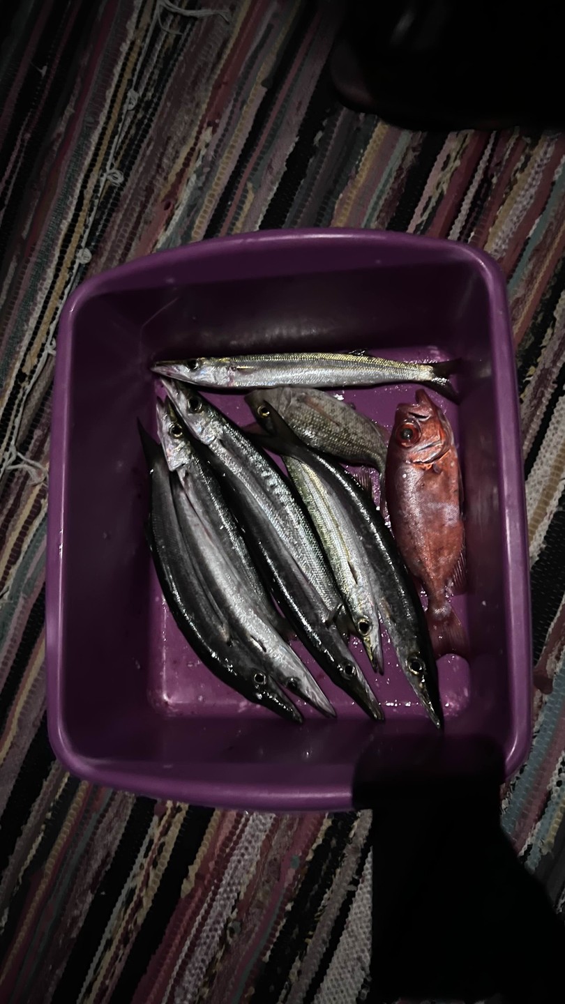 Спасибо Валиду за прекрасную возможность увидеть Дахаб и попробовать себя в рыбалке! Очень красивое место, комфортная