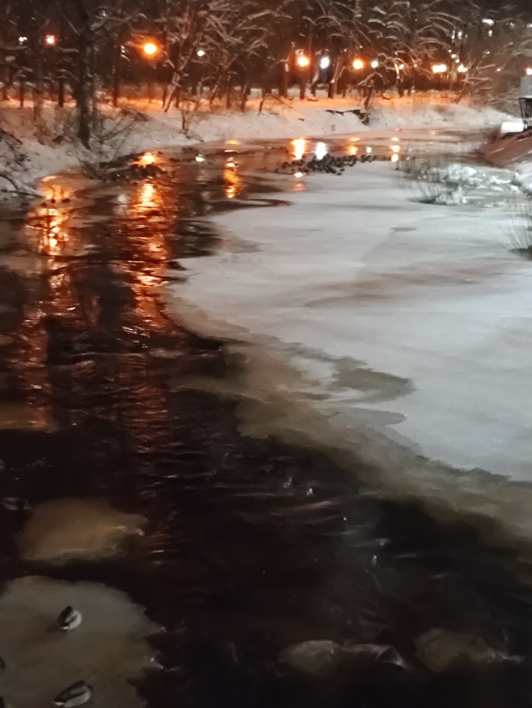 Все было замечательно, интересно, познавательно,несмотря на мороз. Большое спасибо, удачи и процветания