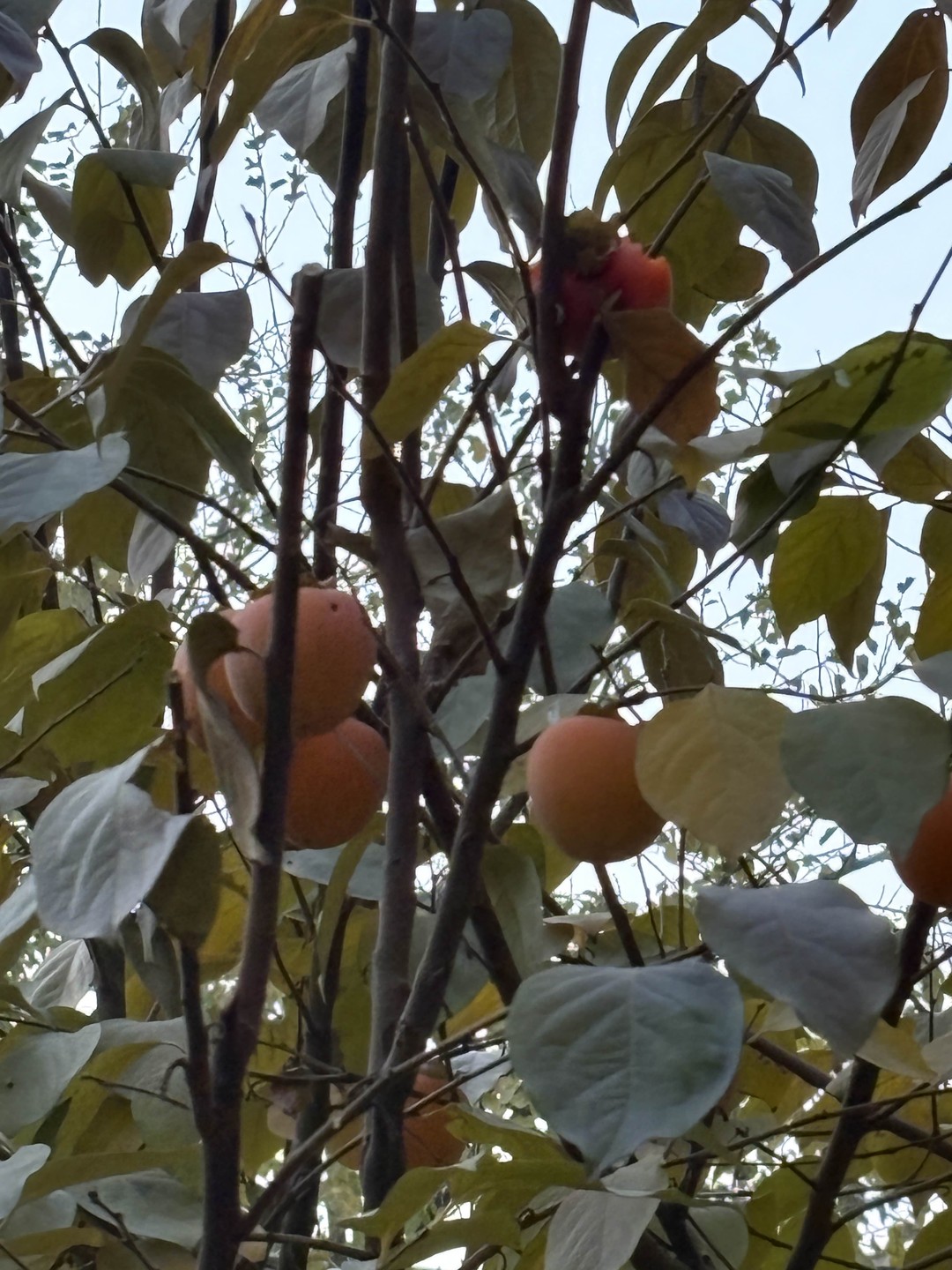 С этой экскурсии лучше всего начинать знакомство с городом) Гид очень интересно рассказал историю столицы, старую
