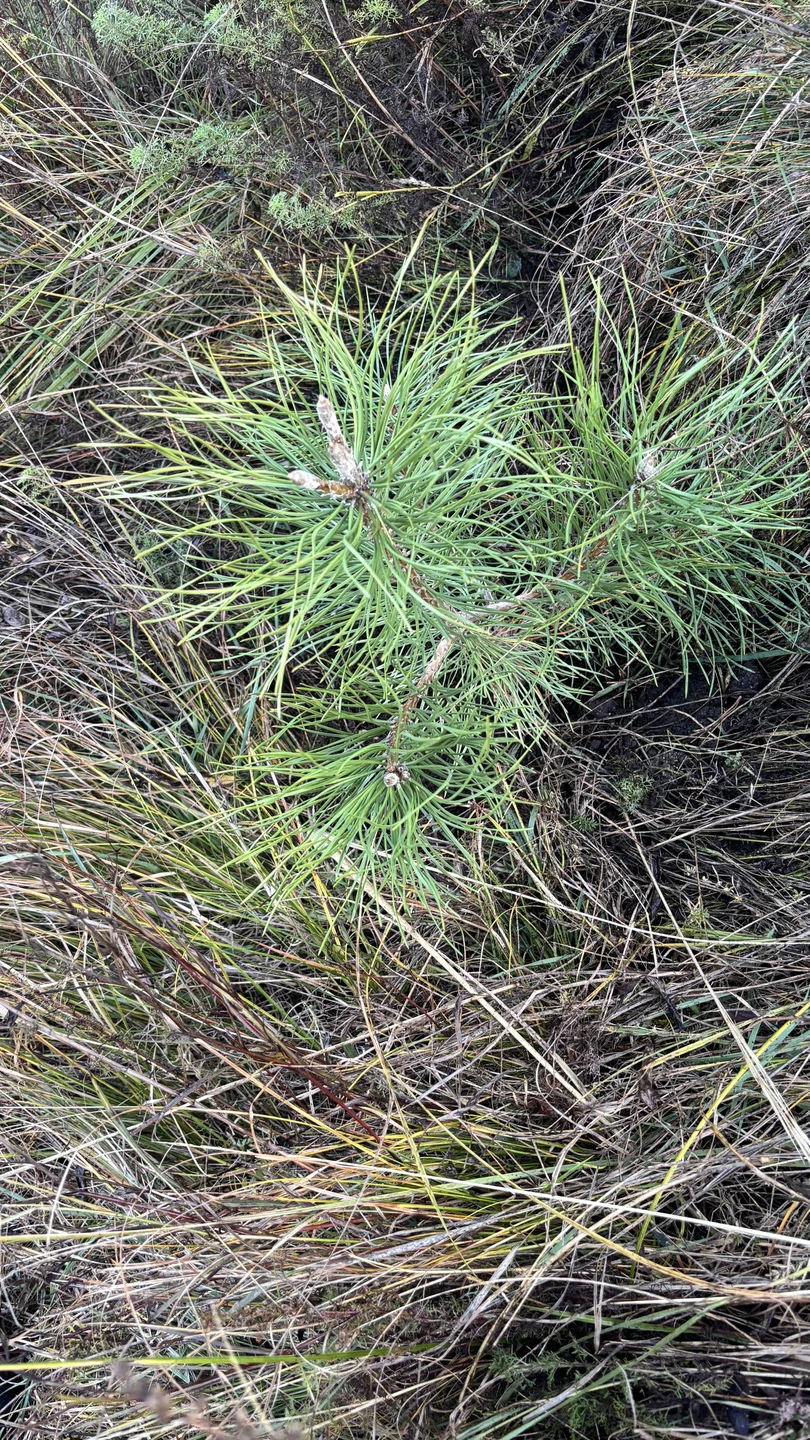 Очень понравилась экскурсия