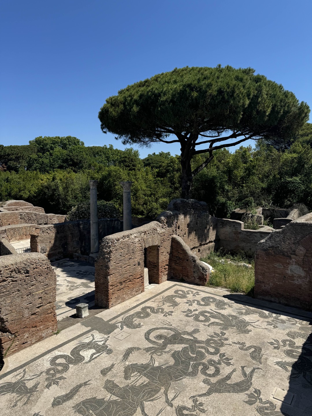 Все прошло замечательно! Благодарю 😊