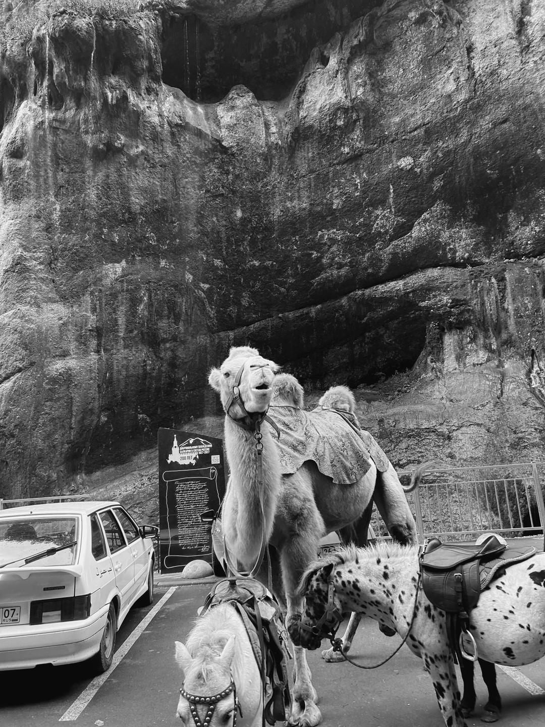 Очень понравилась экскурсия. Природа конечно, дух захватывает. Не смотря на то, что день был не солнечный,