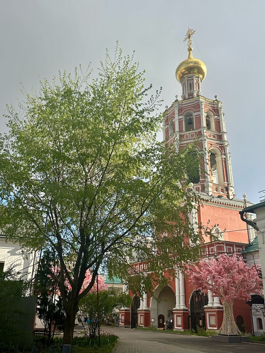 Ранее я уже была на экскурсии у Натальи, где получила много удовольствия от рассказов о чайных
