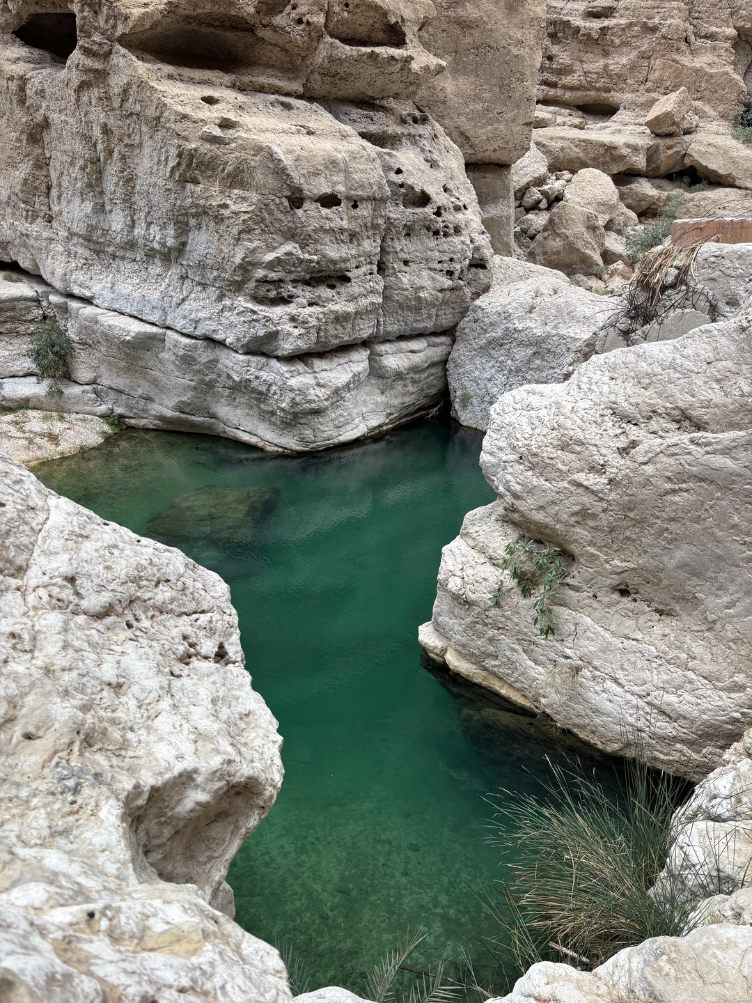 Спасибо большое организаторам за экскурсию в Вади-Шаб и Биммах Синехол. У нас был замечательный экскурсовод Оля