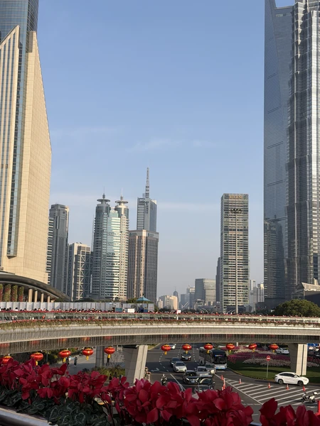 Спасибо огромное Вере, за экскурсию!Получился очень насыщенный и яркий день. История Шанхая рассказана легко и интересно!