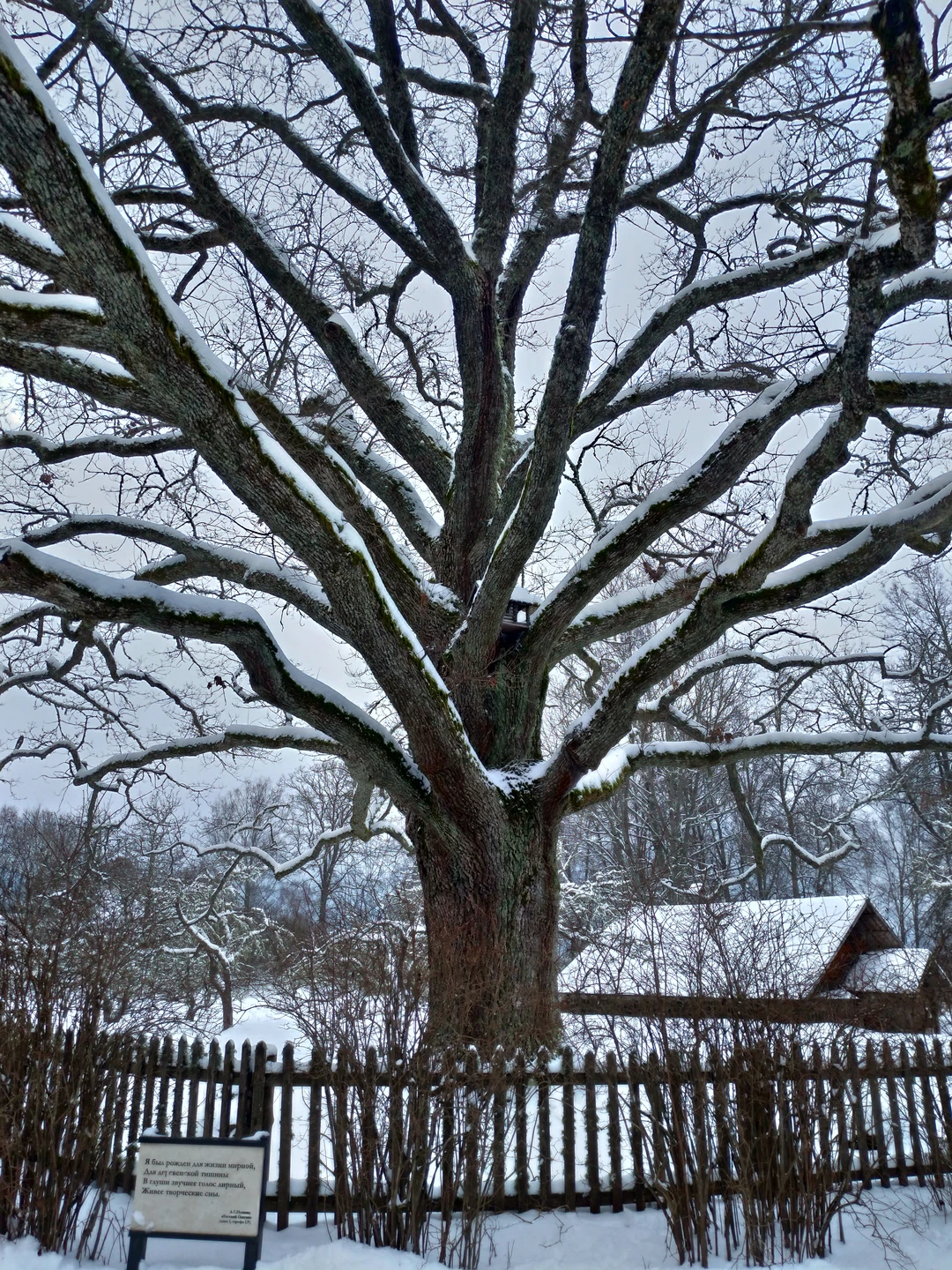 Из Пскова в Пушкинские Горы: Михайловское и Тригорское (Юлия)