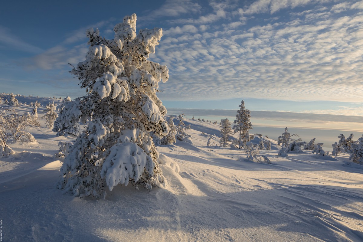 Зимний поход на гору Волосяная: снежные приключения в Кандалакше (3/8)