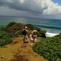 Фото отзыва 2: экскурсия "Южный Маврикий: дикое побережье"