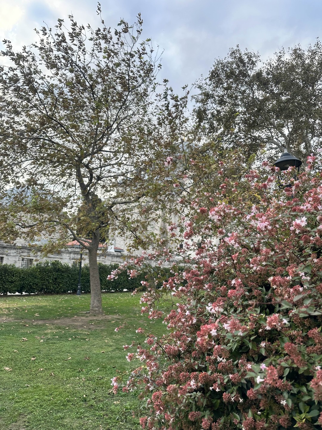 То, что нельзя пропустить в Стамбуле (без музеев и доп. расходов) (Евгения)