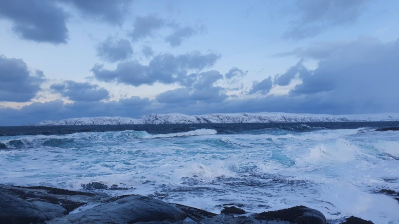 Киты, тюлени и невероятная Териберка