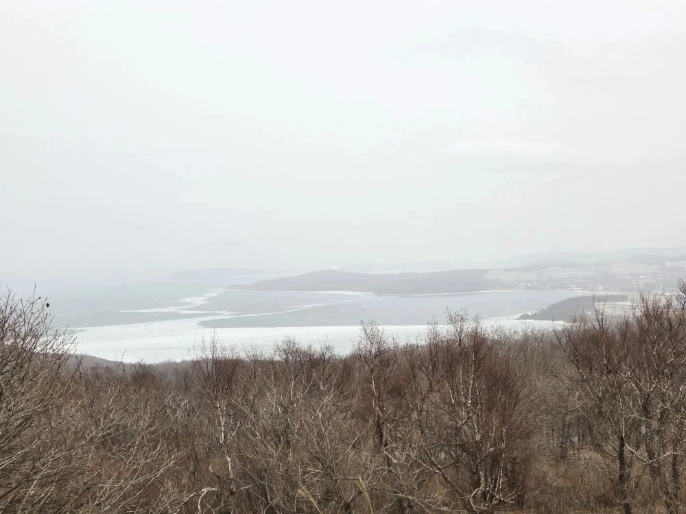 Экскурсия превзошла наши ожидания. Образованный компетентный Михаил познакомил нас с Владивостоком. Его рассказ отличался невероятнй заинтересованностью