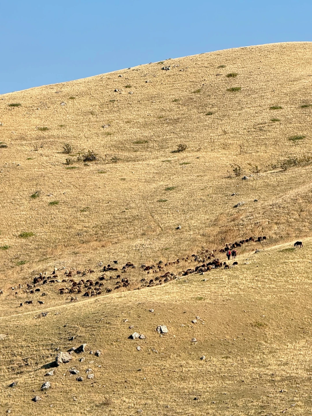 Радужные горы, Розовое озеро, гора Бешбармаг + чаепитие на вершине (Анна)