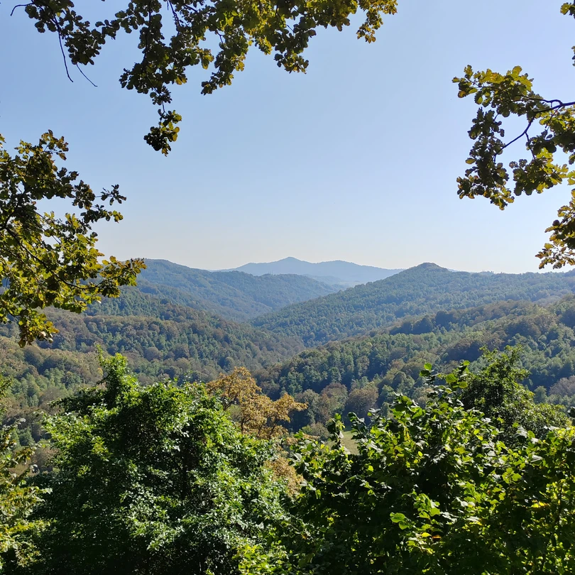 Эта экскурсия для тех, кто не боится долго и много ходить. 4 локации и все потрясающие.
