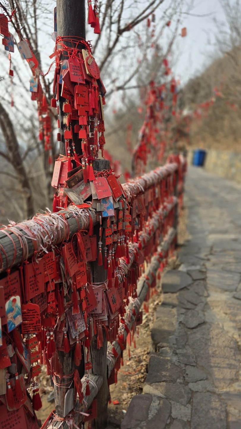 Экскурсия очень понравился. Вёл гид Василий. Очень рекомендую!