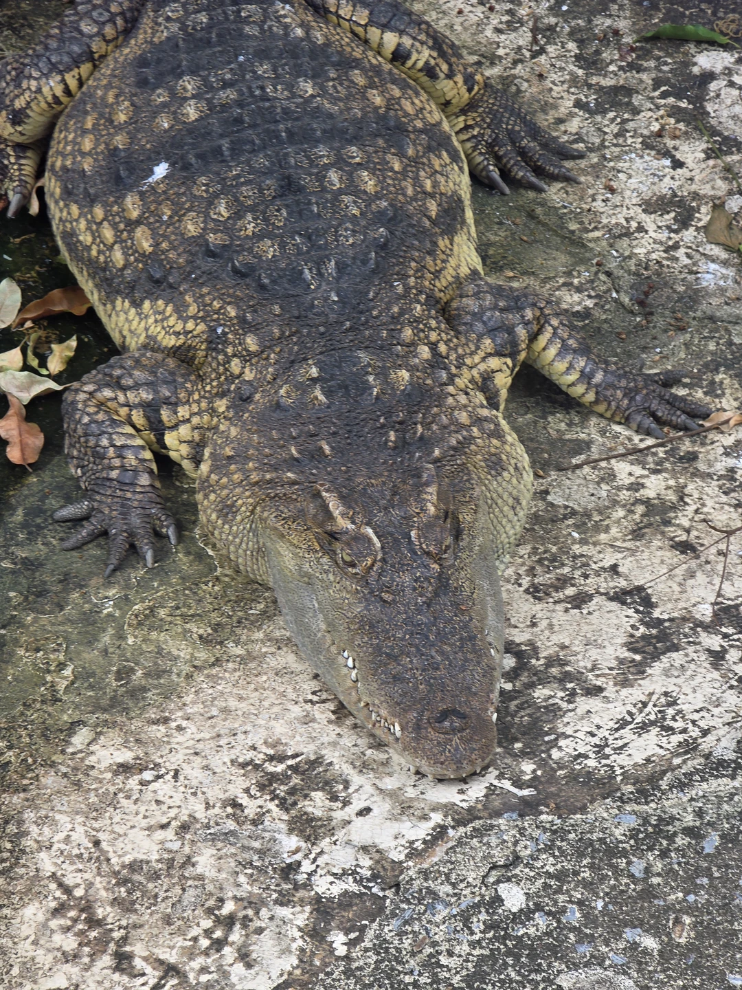 Спасибо Яне за приятную компанию и интересную беседу