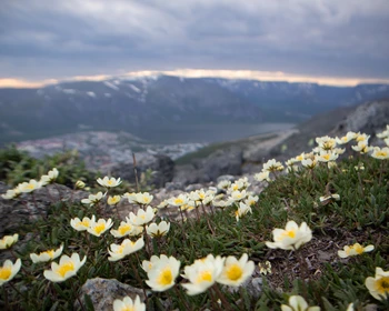 Кировск и Хибины
