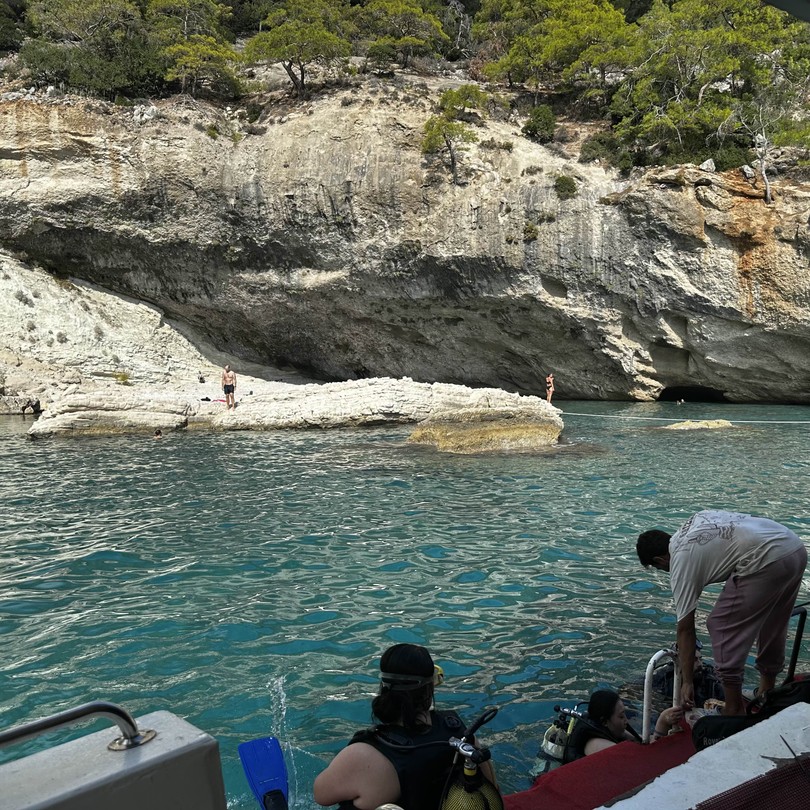Спасибо огромное за организацию и новые впечатления! Очень красивые места, тёплая вода. Инструктаж на русском, английском