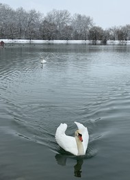 Фото отзыва 2: экскурсия "Плато Бермамыт — открыть российский Гранд-Каньон (из Минеральных Вод)"