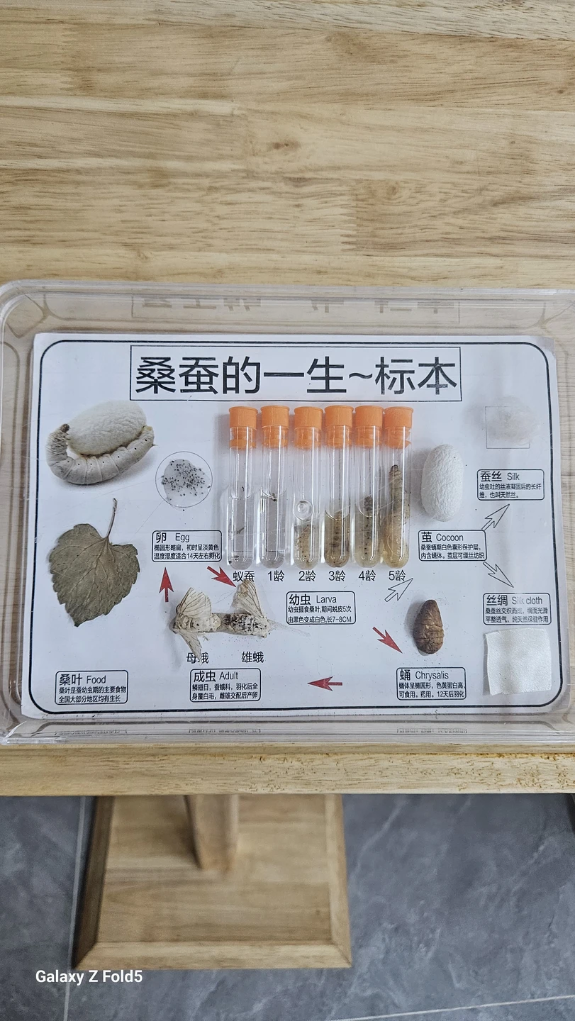 Все прошло хорошо. Гид был русскоговорящих, рассказал про город, везде организовал проходы по билетам. Помогал с покупкой сувениров