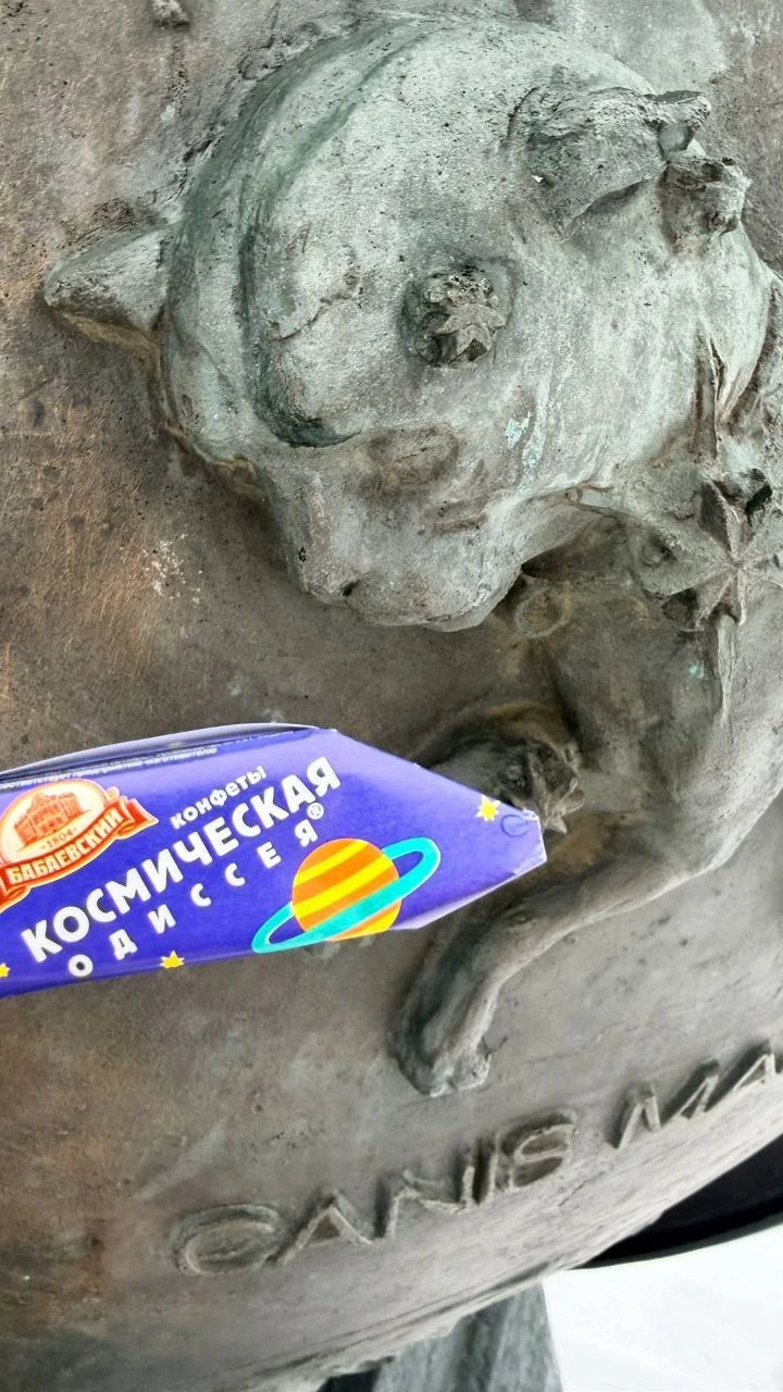 Очень понравилась экскурсия — лёгкая, тёплая по атмосфере и при этом действительно познавательная. Маршрут отлично продуман: