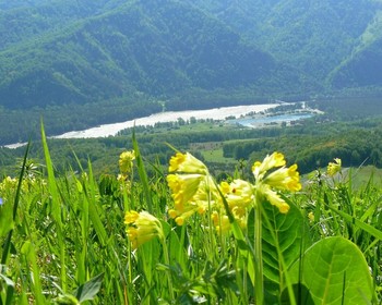 Село Алтайское, дендропарк и гастро-ботаник-обед (за доплату)