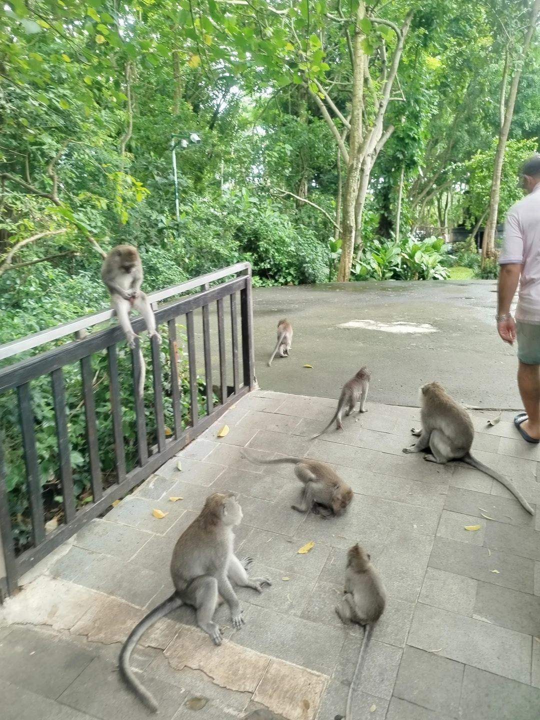 6 ноября ездили на экскурсию с гидом Эрди. Очень рекомендую!