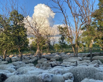 Мцхета и панорамы Тбилиси