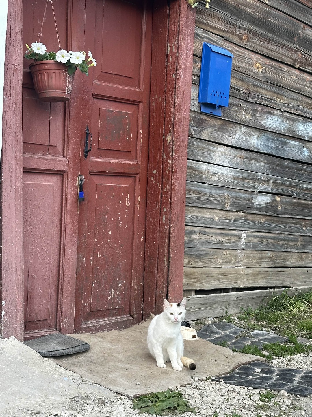 Маленький,уютный город с интересной историей. Атмосфера,колорит!Обязательно взять пешую экскурсию,чтобы узнать и заметить то,что сам бы не