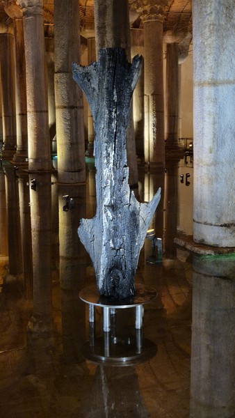 Были на экскурсии семьей. За 4 часа обошли почти все главные достопримечательности старого города Стамбула. Очень