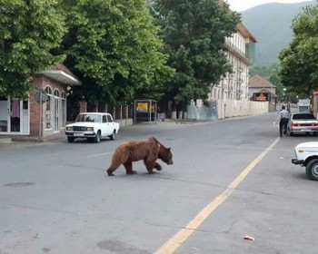 Мавзолей Дири Баба, родина Шемаханской царицы и озеро Нохур