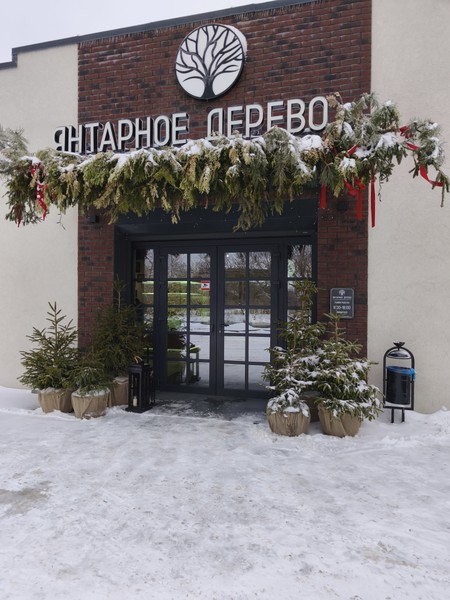 Путешествие в Светлогорск, Янтарный и Балтийск (Евгения)