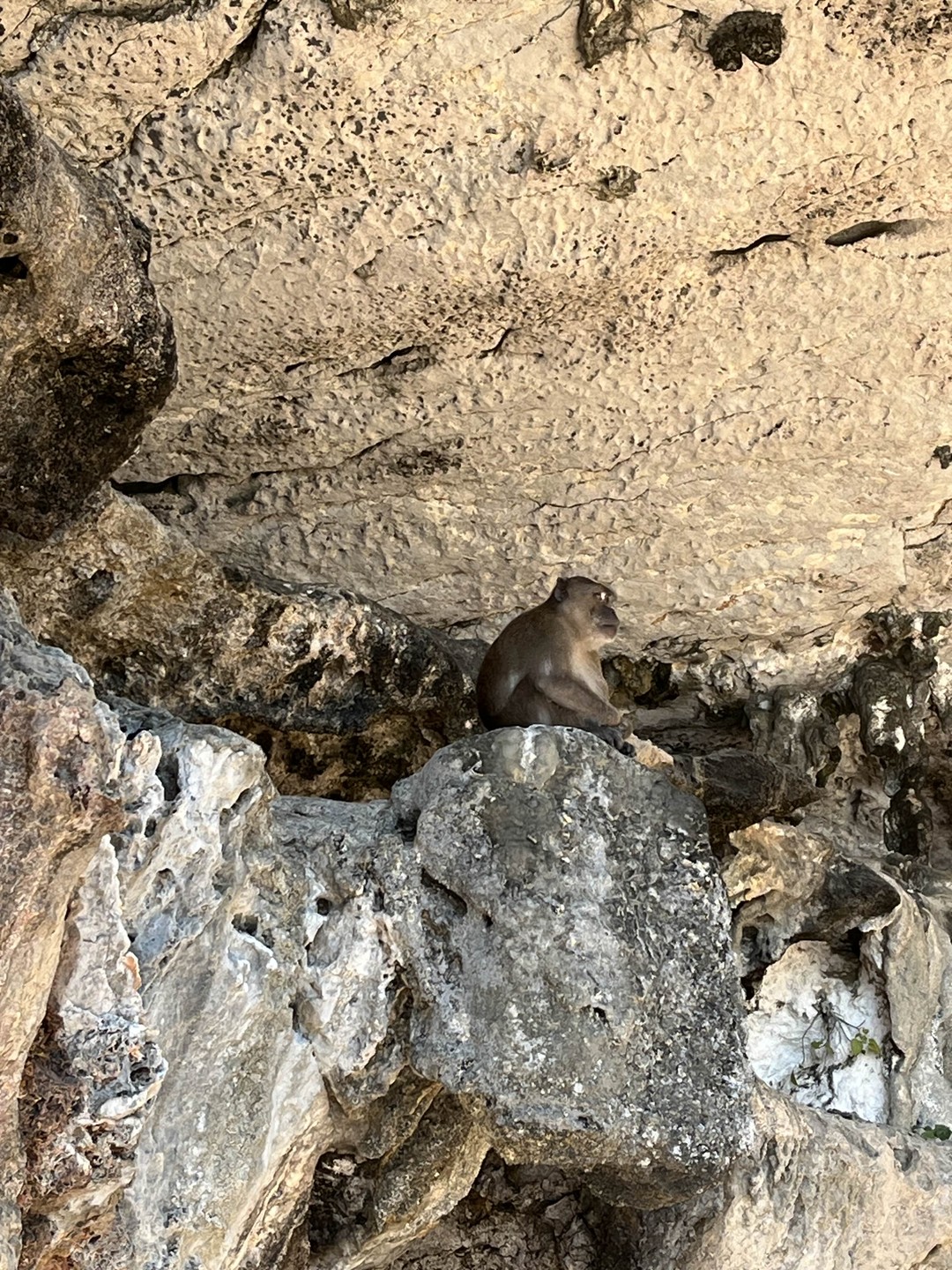 Спасибо Павлу за незабываемую восхитительную экскурсию! Сама организация была очень комфортной, начиная от трансфера заканчивая расчетом