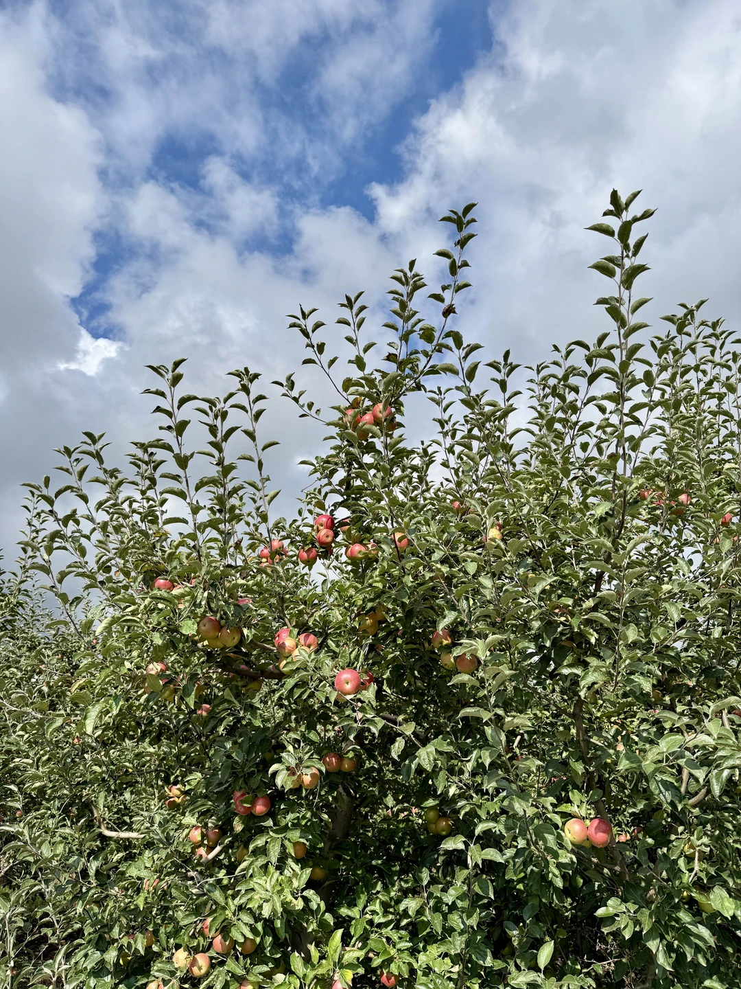 Отличный тур!