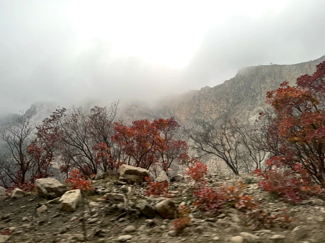 Экскурсия прошла просто замечательно! Михаил очень интересно и познавательно рассказывал на протяжении всей экскурсии, отвечал на