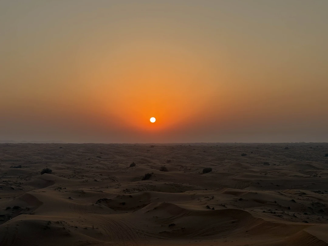Было так прекрасно, что я бы и в 10 раз больше заплатила ❤️