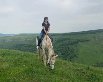 Возвращение домой