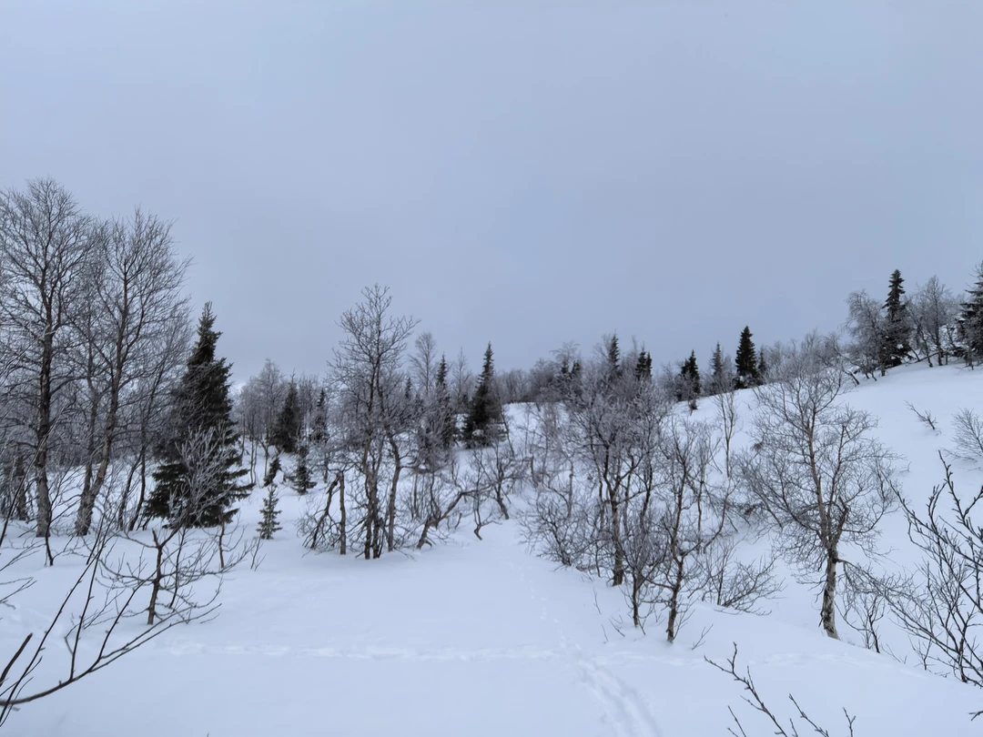 Зимние Хибины - на снегоступах (Евгений)