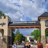 Фото отзыва 3: экскурсия "В Брест и Беловежскую пущу — из Минска"