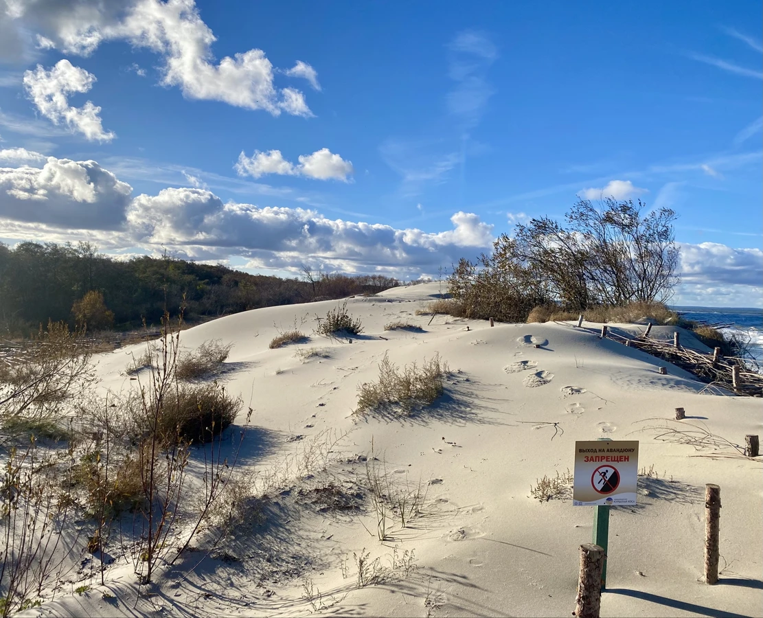 Куршская коса — природное чудо Балтики (из Светлогорска)