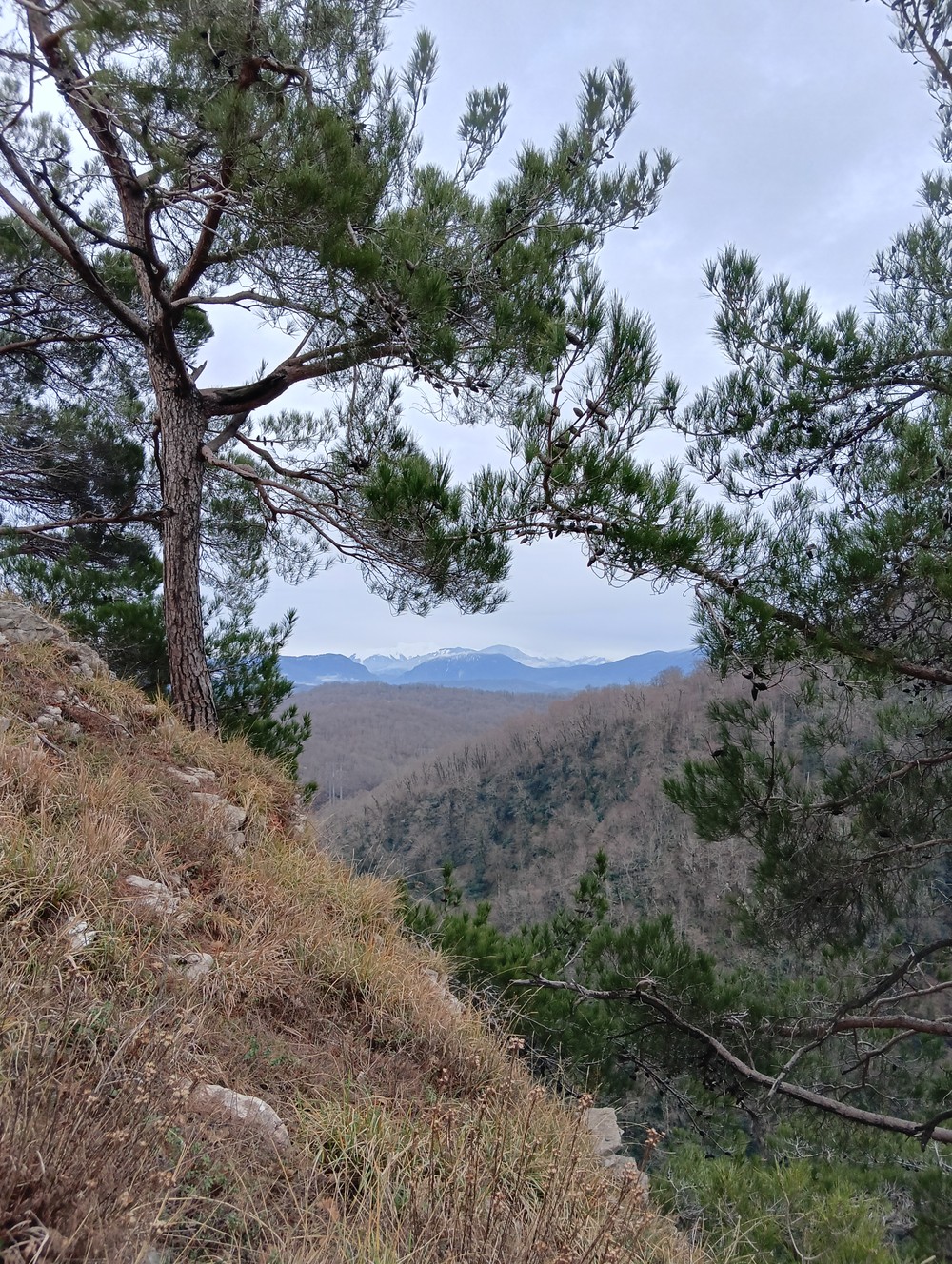 По следам Прометея: из Агурского ущелья к Орлиным скалам (2/10)