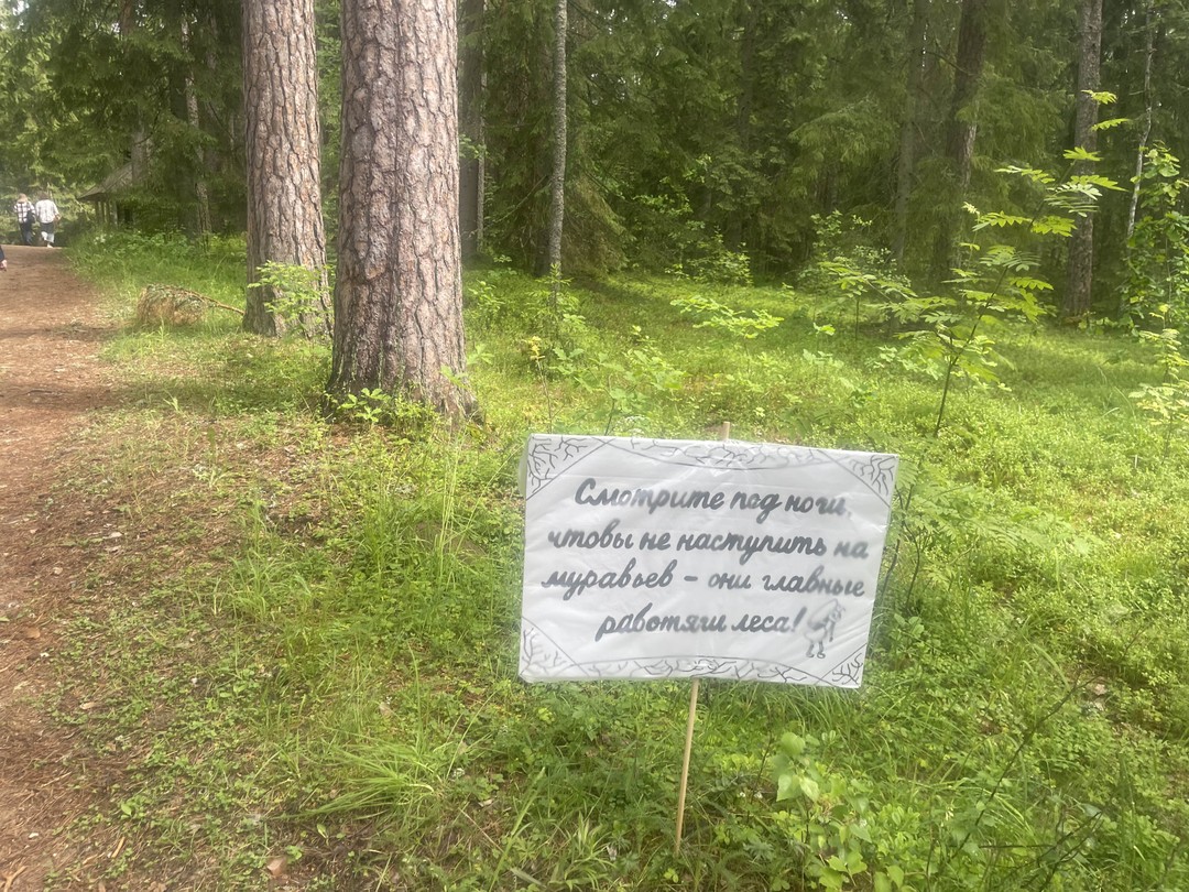 В Пушкинские Горы - за вдохновением поэта (Натэла)