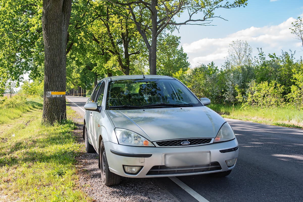 Фотопутешествие: от прусского городища Варген до пляжей Янтарного (30/30)