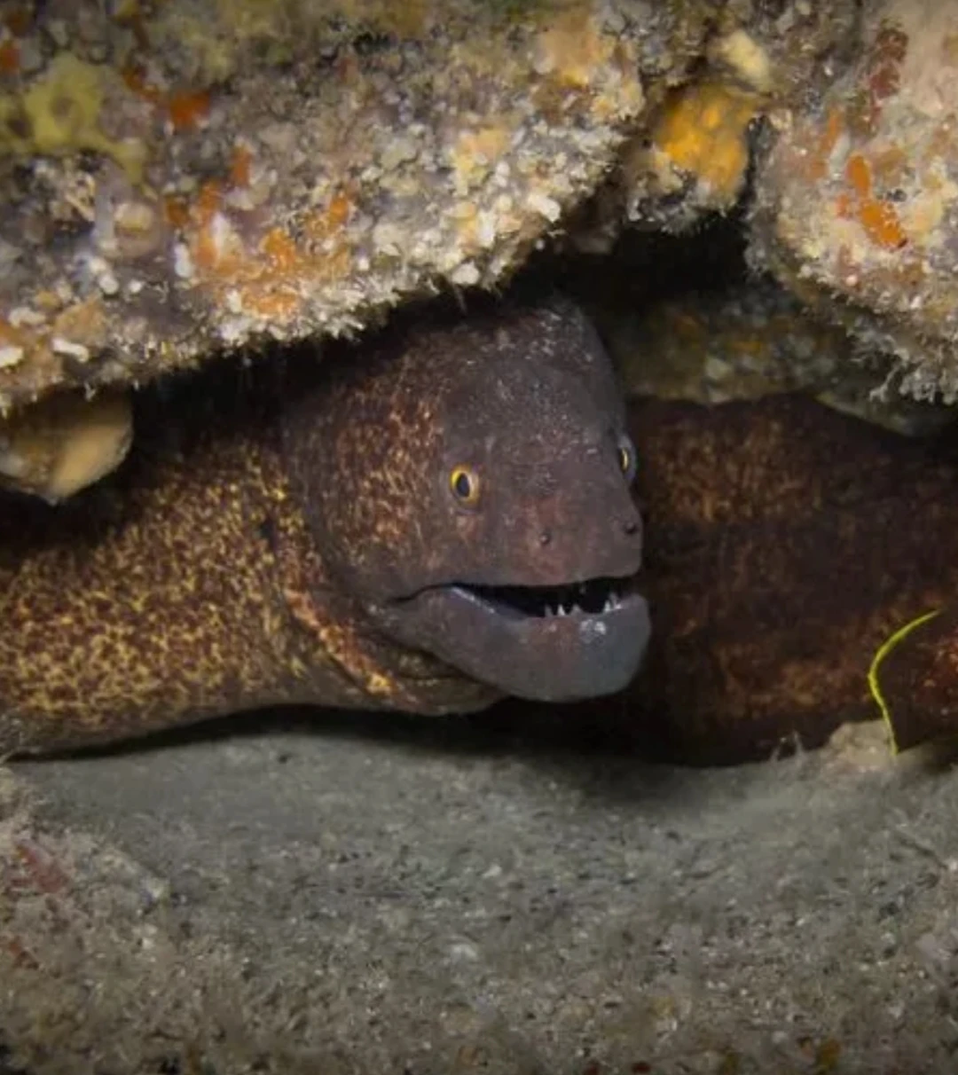 Отличная поездка, с отдельным инструктором, быстро собрались, и оперативно все показали, обучили, и погрузили в прекрасную