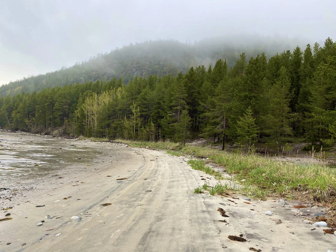 Душевная экскурсия-прогулка по живописной лесной тропе, бесподобные морские виды в легкой туманной дымке. В ходе экскурсии