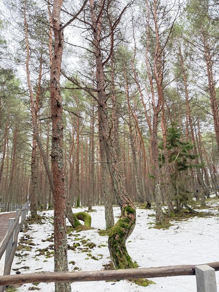 Прекрасная экскурсия, содержательная и не перегружена информацией. экскурсовод Лилия очень интересно и увлекательно рассказывает, много историй